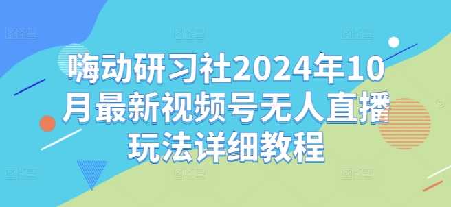 嗨动研习社2024年10月最新视频号无人直播玩法详细教程-搞钱花