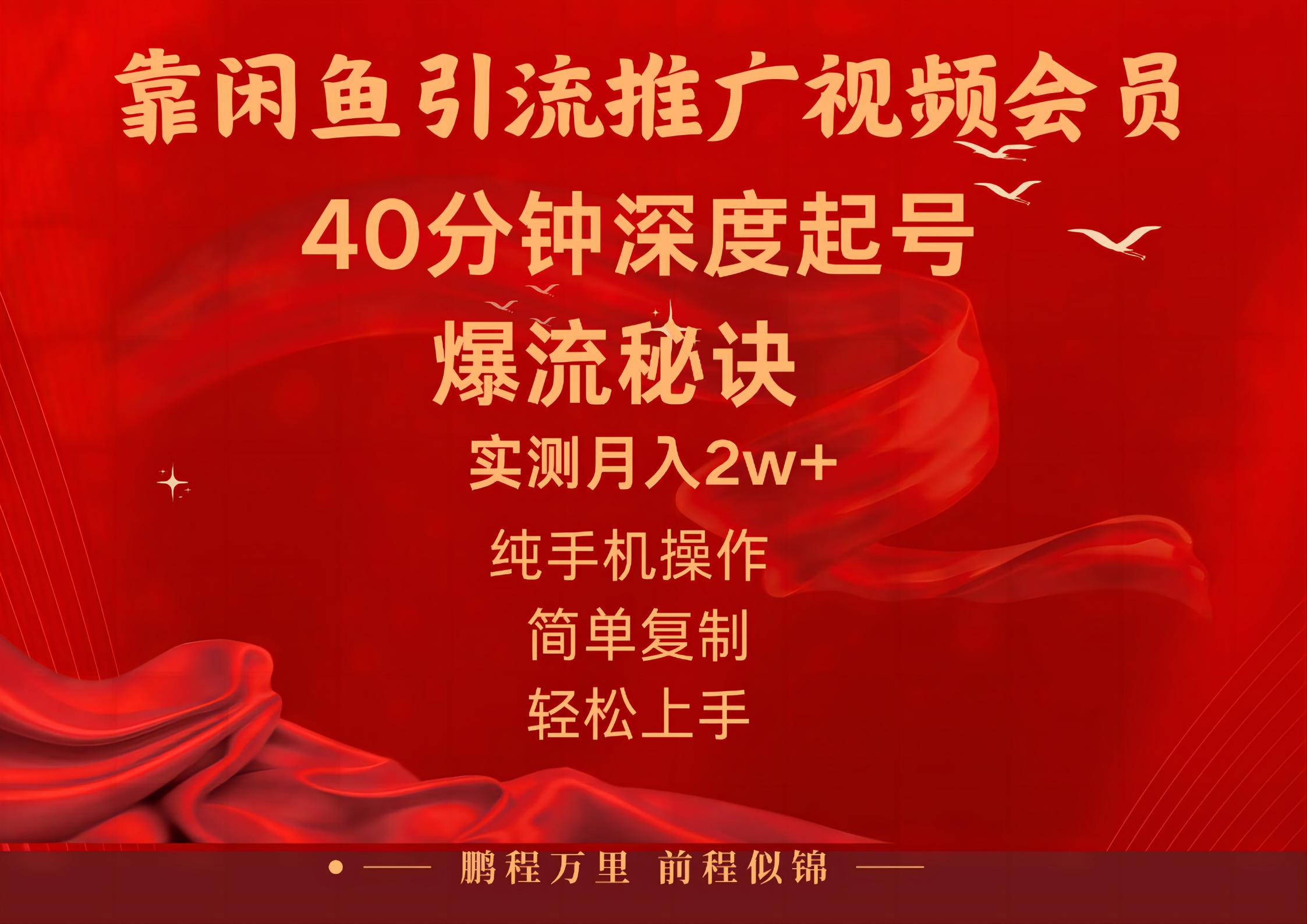闲鱼暴力引流推广视频会员,能做到日入2W+,操作简单-搞钱花