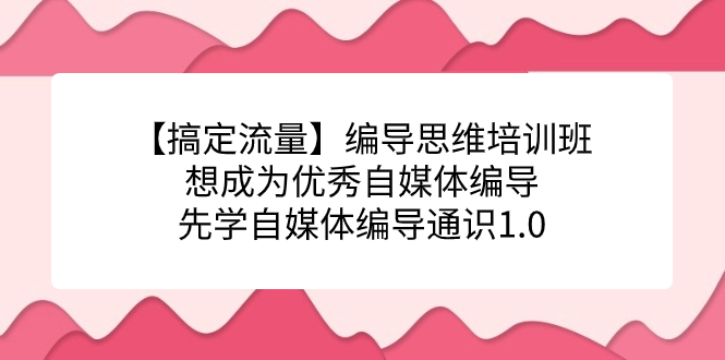 【搞定流量】编导思维培训班,想成为优秀自媒体编导先学自媒体编导通识1.0-搞钱花