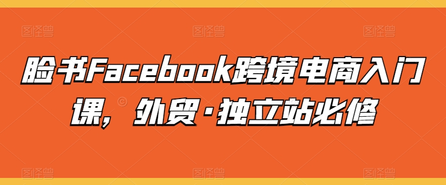 脸书Facebook跨境电商入门课，外贸·独立站必修-搞钱花