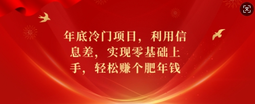 年底冷门项目，利用信息差，实现零基础上手，轻松赚个肥年钱【揭秘】-搞钱花