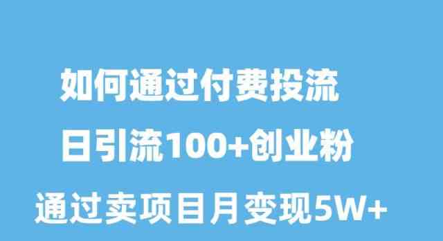 (10189期)如何通过付费投流日引流100+创业粉月变现5W+-搞钱花