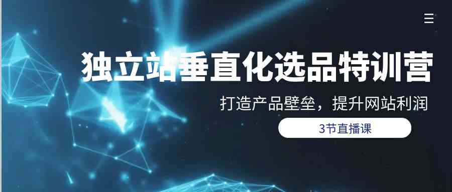 （9925期）独立站-垂直化选品训练营，打造产品壁垒，提升网站利润（3节直播课）-搞钱花