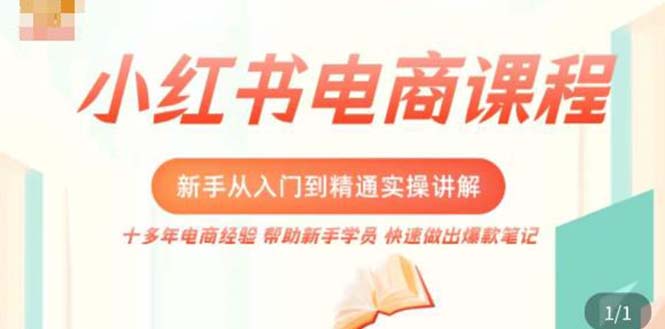 小红书电商新手入门到精通实操课，从入门到精通做爆款笔记，开店运营-搞钱花