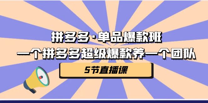 拼多多·单品爆款班,一个拼多多超级爆款养一个团队(5节直播课)-搞钱花