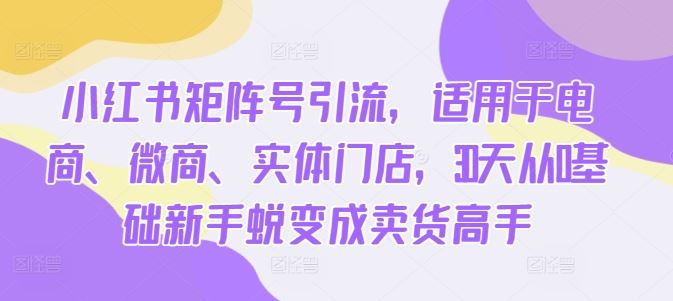 小红书矩阵号引流，适用于电商、微商、实体门店，30天从0基础新手蜕变成卖货高手-搞钱花