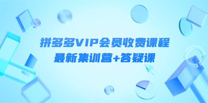 某社群·拼多多VIP会员收费课程，最新集训营+答疑课-价值3299元￼-搞钱花