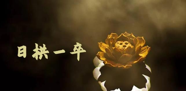 月入8000+，无脑搬砖，普通人可以复制的副业赚钱项目(附软件)-搞钱花