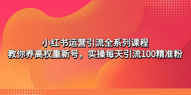 小红书运营引流全系列课程：教你养高权重新号，实操每天引流100精准粉-搞钱花