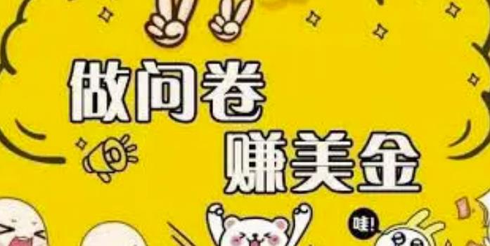 外边收费四五千的国外问卷调查项目，单人一天操作100美刀，真正的搬砖项目！-搞钱花