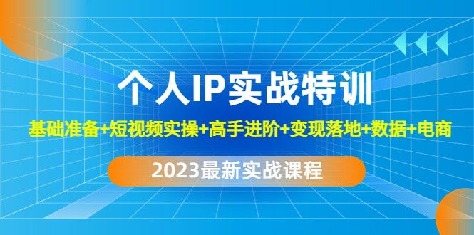 2023个人IP实战特训：基础准备+短视频实操+高手进阶+变现落地+数据+电商-搞钱花