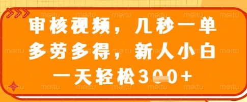 审核视频，几秒一单，多劳多得，新人小白一天轻松3张【揭秘】-搞钱花