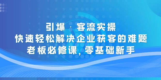 引爆·客流实操：快速轻松解决企业获客的难题，老板必修课，零基础新手-搞钱花