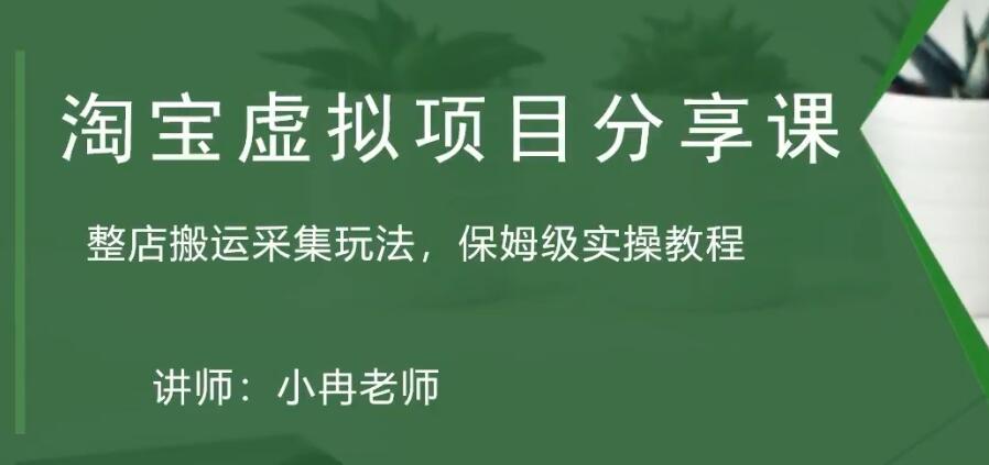 淘宝虚拟整店搬运采集玩法分享课：整店搬运采集玩法，保姆级实操教程-搞钱花