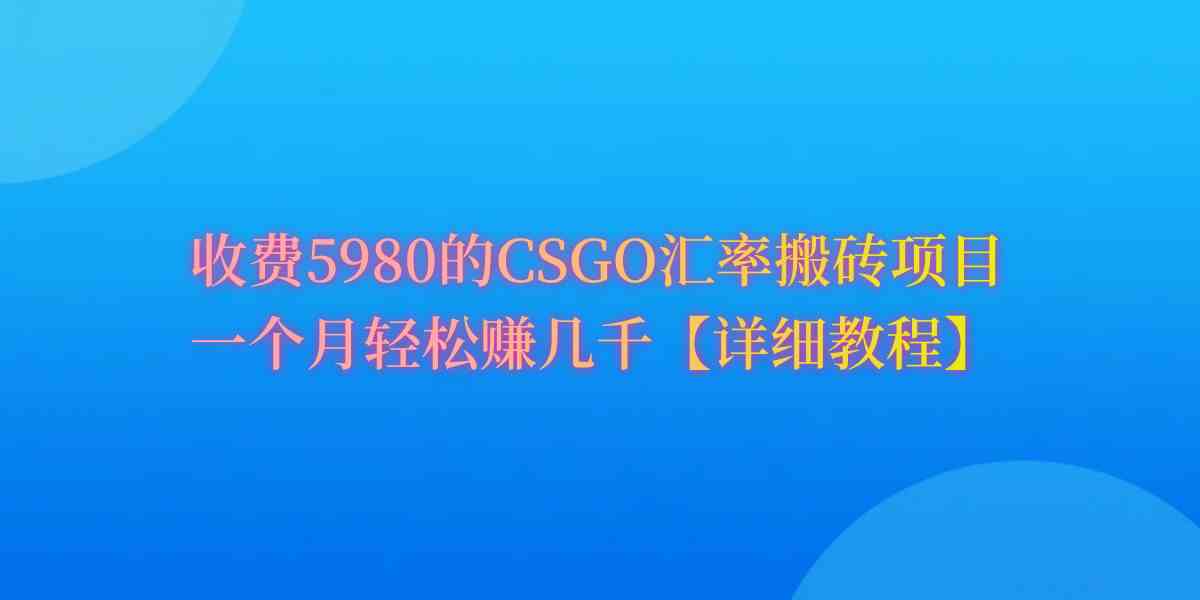 （9776期）CSGO装备搬砖，月综合收益率高达60%，你也可以！-搞钱花