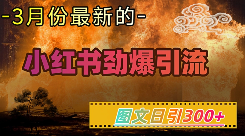 小红书超劲爆引流手段，图文日引300+轻松变现1W-搞钱花