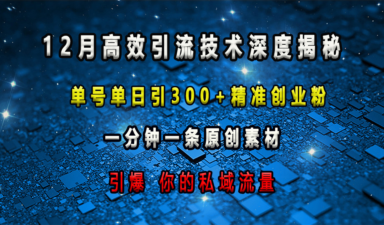12月高效引流技术深度揭秘 ，单号单日引300+精准创业粉，一分钟一条原创素材，引爆你的私域流量-搞钱花