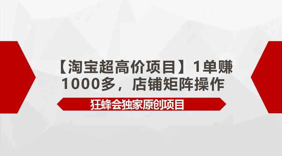 (9849期)【淘宝超高价项目】1单赚1000多,店铺矩阵操作-搞钱花
