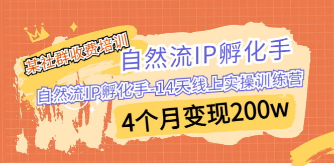 某社群收费培训:自然流IP 孵化手-14天线上实操训练营 4个月变现200w-搞钱花