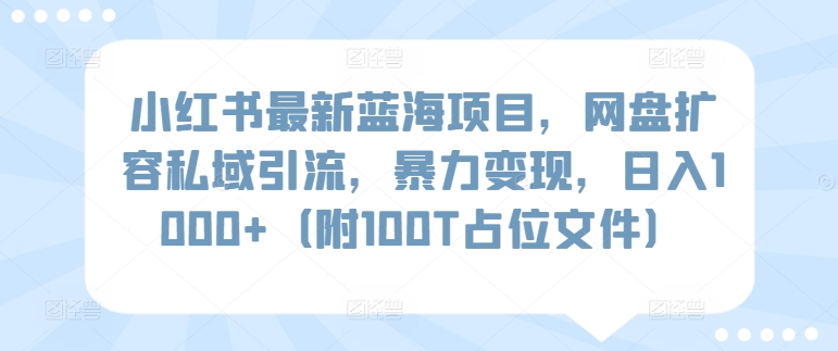 小红书最新蓝海项目，网盘扩容私域引流，暴力变现，日入1000+（附100T占位文件）-搞钱花