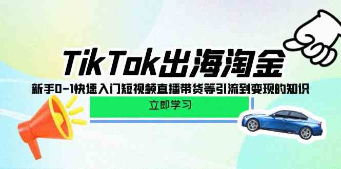 （10035期）TikTok-出海淘金，新手0-1快速入门短视频直播带货等引流到变现的知识-搞钱花