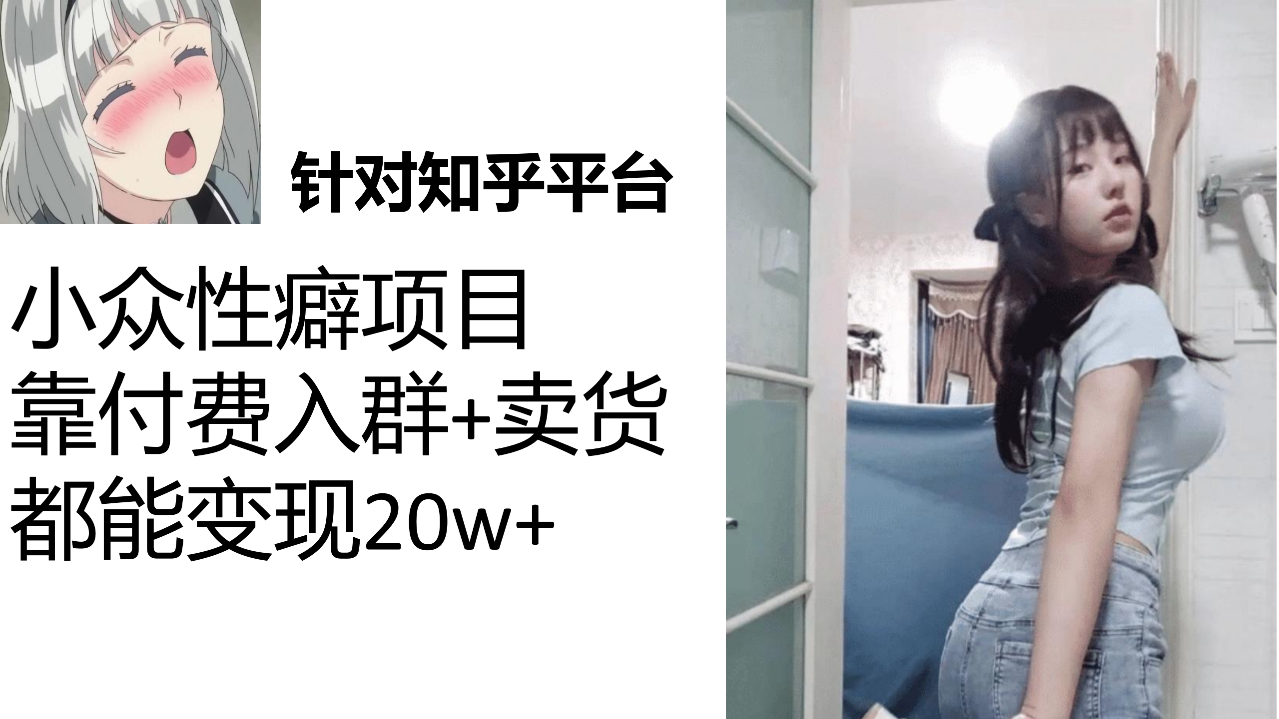 知乎小众性癖项目，Lsp的钱才是最好赚的，付费建群+卖货变现20w-搞钱花