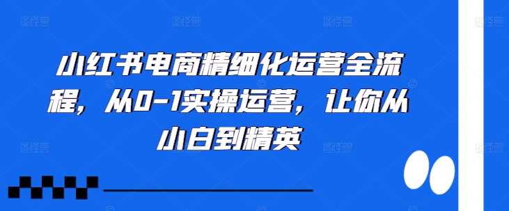 小红书电商精细化运营全流程，从0-1实操运营，让你从小白到精英-搞钱花