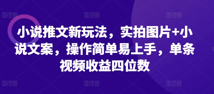 小说推文新玩法，实拍图片+小说文案，操作简单易上手，单条视频收益四位数-搞钱花