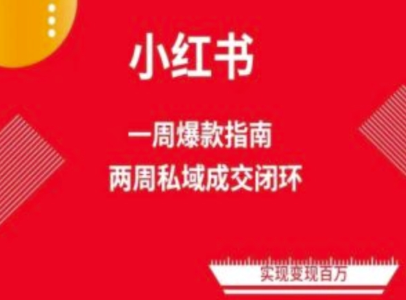 爆款小红书免费流量体系课程(两周变现)，小红书电商教程-搞钱花