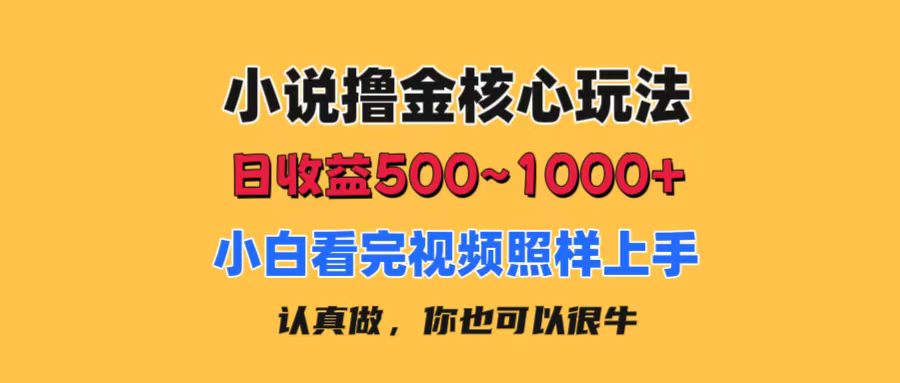 小说撸金核心玩法，日收益500-1000+，小白看完照样上手，0成本有手就行-搞钱花