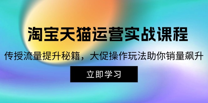 (12959期)淘宝&天猫运营实战课程,传授流量提升秘籍,大促操作玩法助你销量飙升-搞钱花