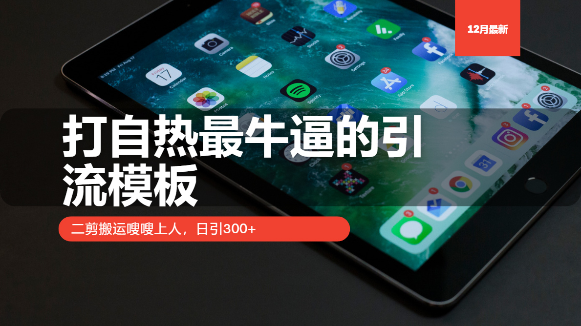 打自热最牛逼的引流模板,日引300+,二剪搬运嗖嗖上人-搞钱花