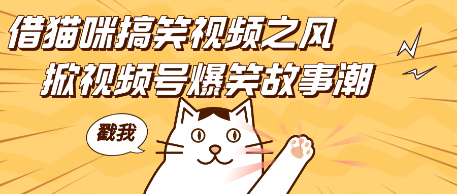 借猫咪搞笑视频之风,掀视频号爆笑故事潮,轻松日赚四位数,开启无门槛赚钱新体验!-搞钱花