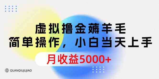 （9864期）虚拟撸金薅羊毛，简单操作，小白当天上手，月收益5000+-搞钱花