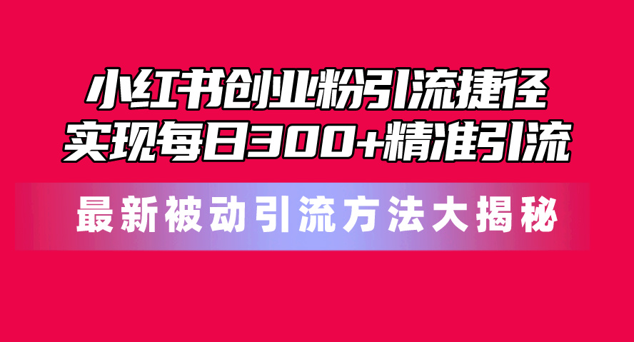 （10692期）小红书创业粉引流捷径！最新被动引流方法大揭秘，实现每日300+精准引流-搞钱花