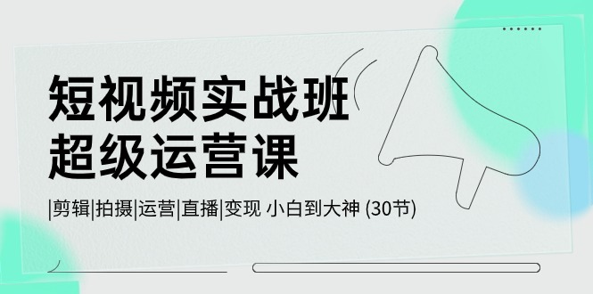 短视频实战班超级运营课 |剪辑|拍摄|运营|直播|变现 小白到大神 (30节)-搞钱花