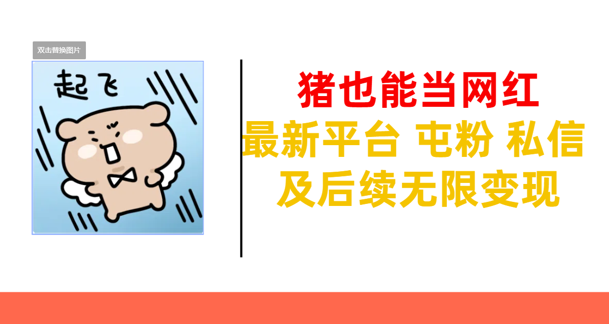 猪也能当网红-最新平台 屯粉 交流 私信 及后续无限变现-搞钱花