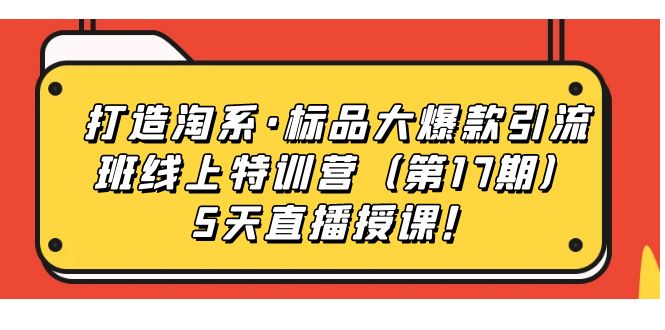 打造淘系·标品大爆款引流班线上特训营(第17期)5天直播授课!-搞钱花