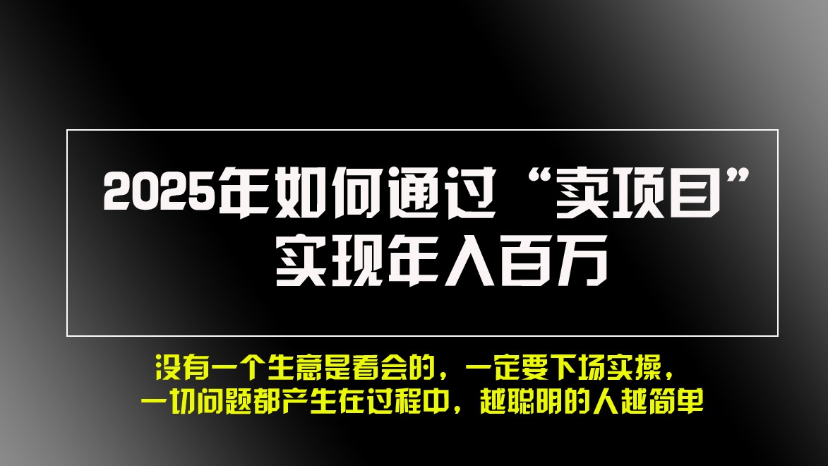 2025年如何通过“卖项目”实现年入百万-搞钱花