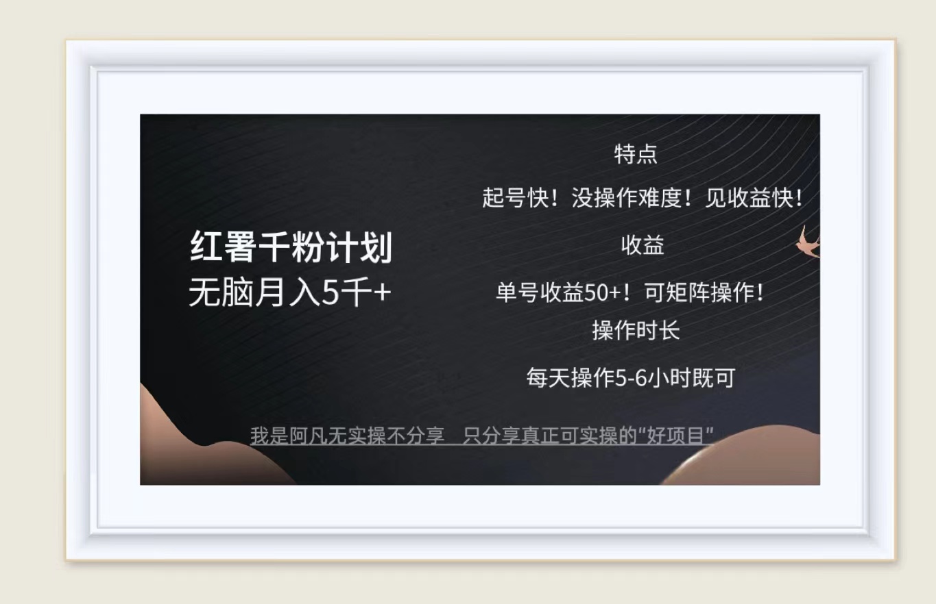 (12560期)红薯千粉计划无脑月入5千+!既做既赚!-搞钱花