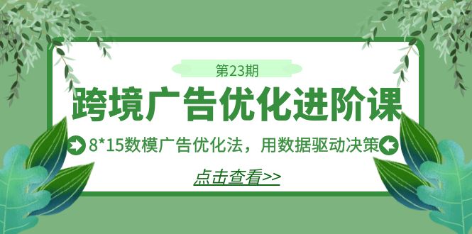 跨境广告·优化进阶课·第23期,8*15数模广告优化法,用数据驱动决策-搞钱花