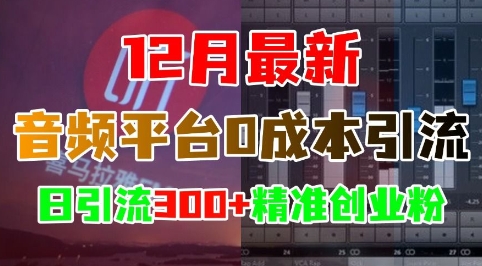 12月最新:音频平台0成本引流,日引流300+精准创业粉