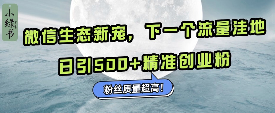 微信生态新宠小绿书:下一个流量洼地,粉丝质量超高,日引500+精准创业粉,-搞钱花