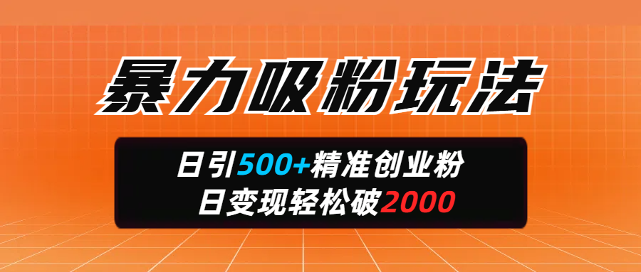 暴力吸粉玩法,日引500+精准创业粉,日变现轻松破2000-搞钱花
