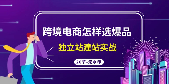 跨境电商怎样选爆品，独立站建站实战（20节高清课）-搞钱花