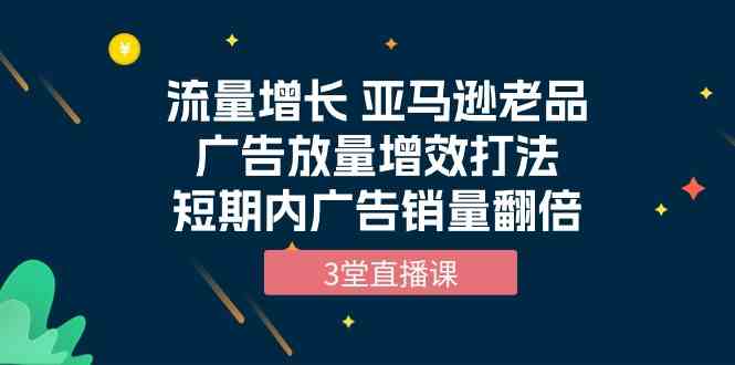（10112期）流量增长 亚马逊老品广告放量增效打法，短期内广告销量翻倍（3堂直播课）-搞钱花