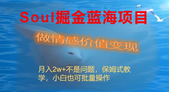 Soul掘金蓝海项目细分赛道,做情感价值变现,月入2w+不是问题-搞钱花