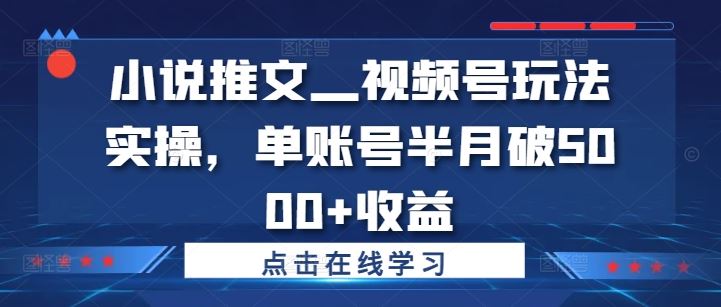 小说推文—视频号玩法实操,单账号半月破5000+收益-搞钱花