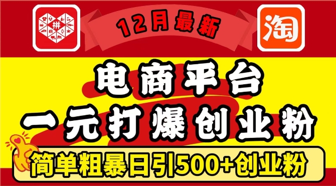 12月最新：电商平台1元打爆创业粉，简单粗暴日引500+精准创业粉，轻松月入过W【揭秘】-搞钱花