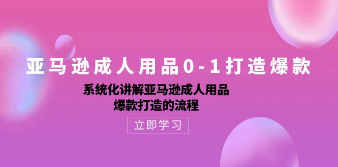 亚马逊成人用品0-1打造爆款：系统化讲解亚马逊成人用品爆款打造的流程-搞钱花